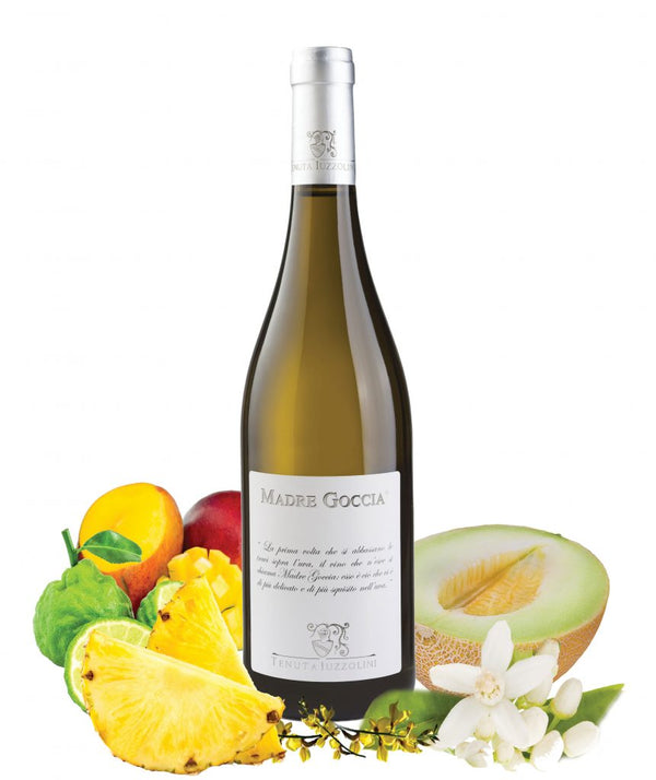 Madre Goccia - Tenuta Iuzzolini
