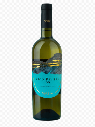 Vico Riviera 99 Falanghina - Nativ